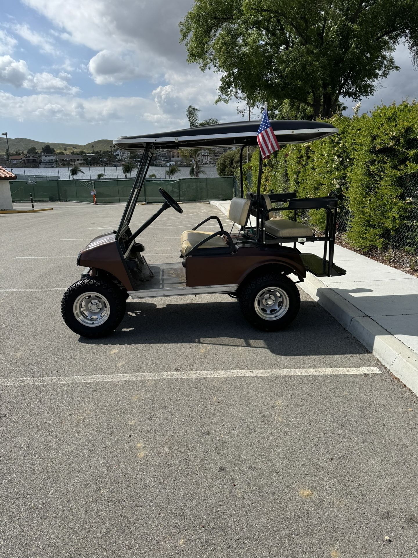 Gas Golf Cart 