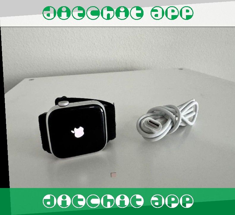 Democrat risk Apple Watch Series 8 Chic and Capable