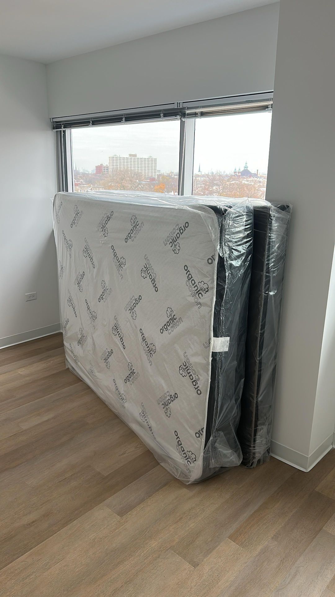 Queen Mattress And Box springs 