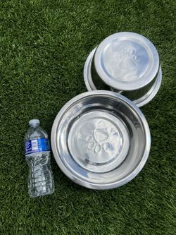 Dog Bowls 