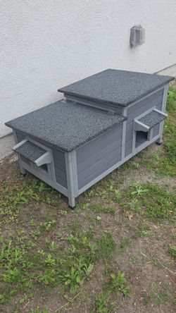 Cat House or maybe a small dog wint inside heating