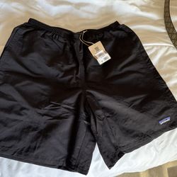 Patagonia Shorts (Men)