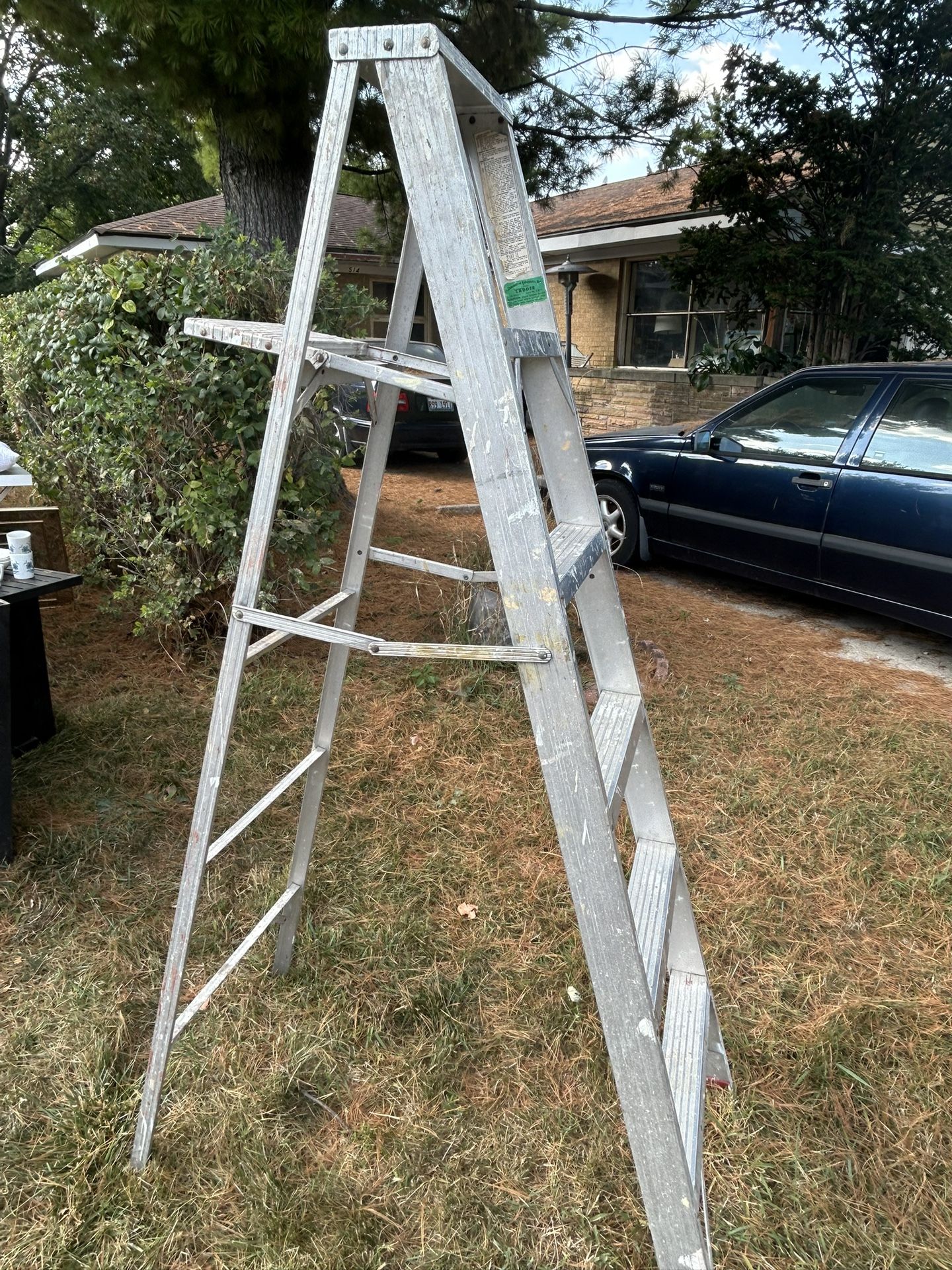 6 Foot Ladder