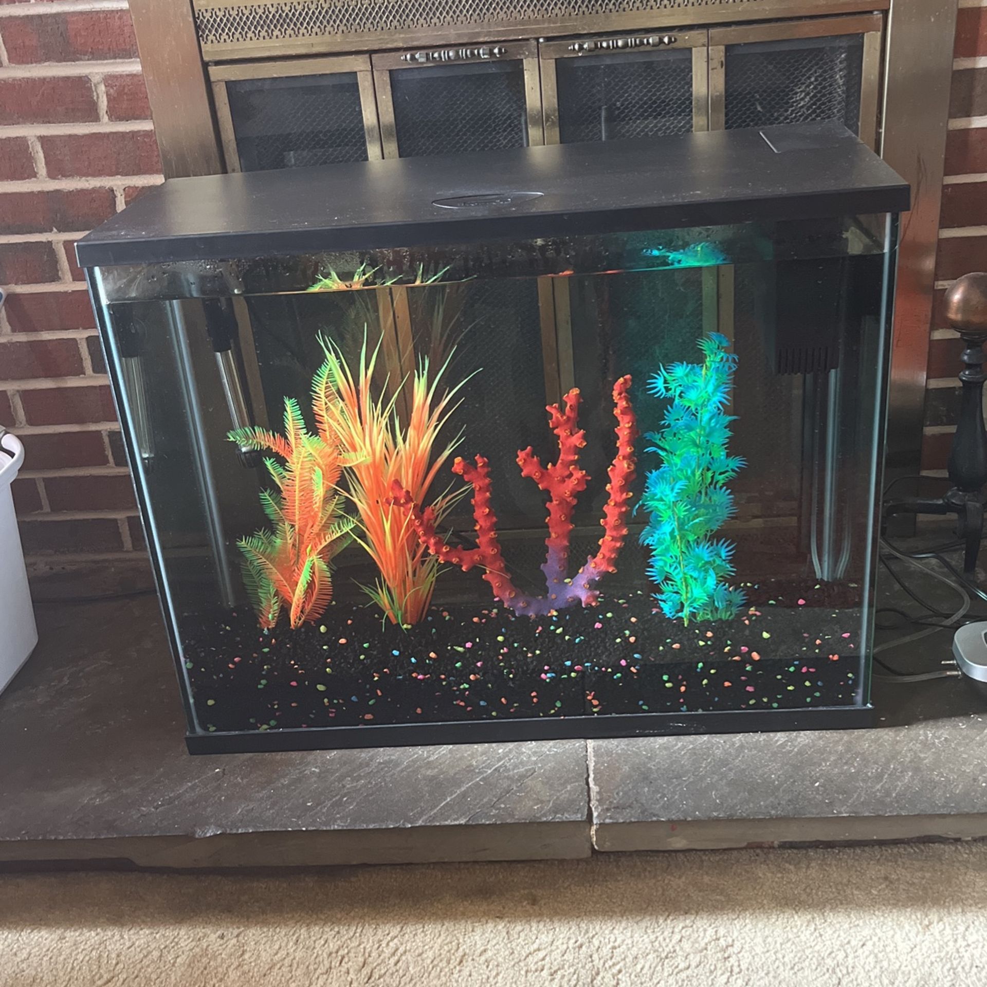 Brand New Beautiful 40 Gallon Aquarium
