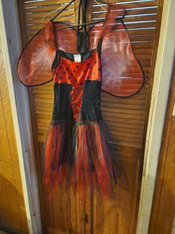Halloween Lady Bug Costume