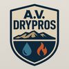 A.V. DRYPROS