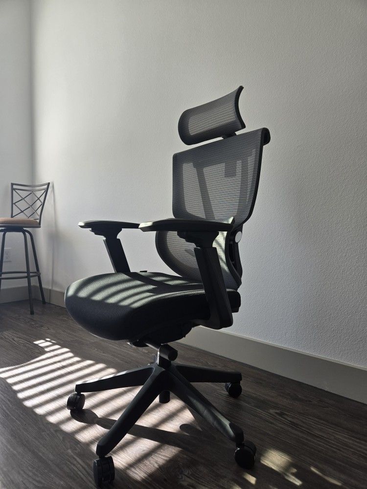 Flexispot Office Chair