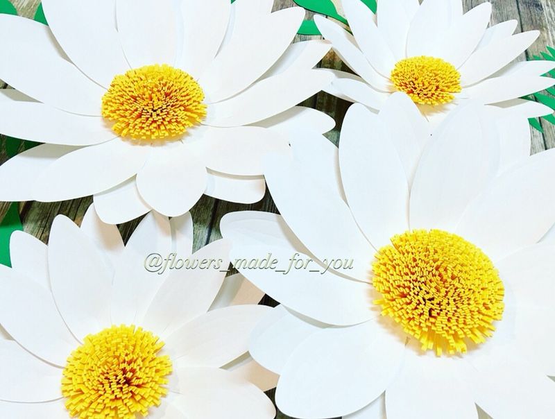 Flores de papel/paper flowers