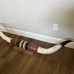 Mounted Steer Horns