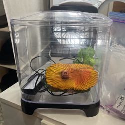 Desktop Fish Tank 