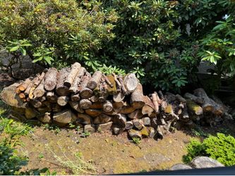 Free Wood