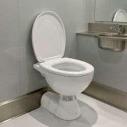 Seaflo Marine Toilet - Quiet Flush Electric 12V Built-In Macerator CE & RoHs Cert. Boat Ship Yacht