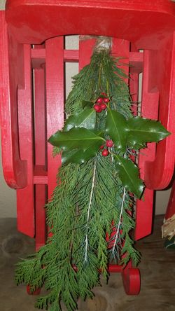 Cedar Holly boughs 10 / bundle