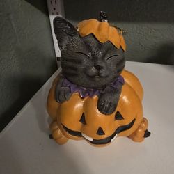 Cat In Pumpkin Decor