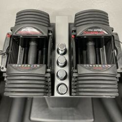 Powerblock Pro Series Adjustable dumbbells With Stand for Sale in Allenhurst GA OfferUp