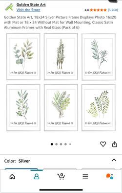 24x18 Silver Frames Set Of Three
