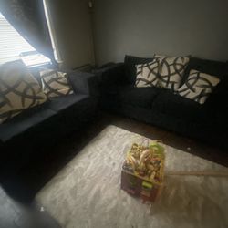 Sofas  Used Like New 