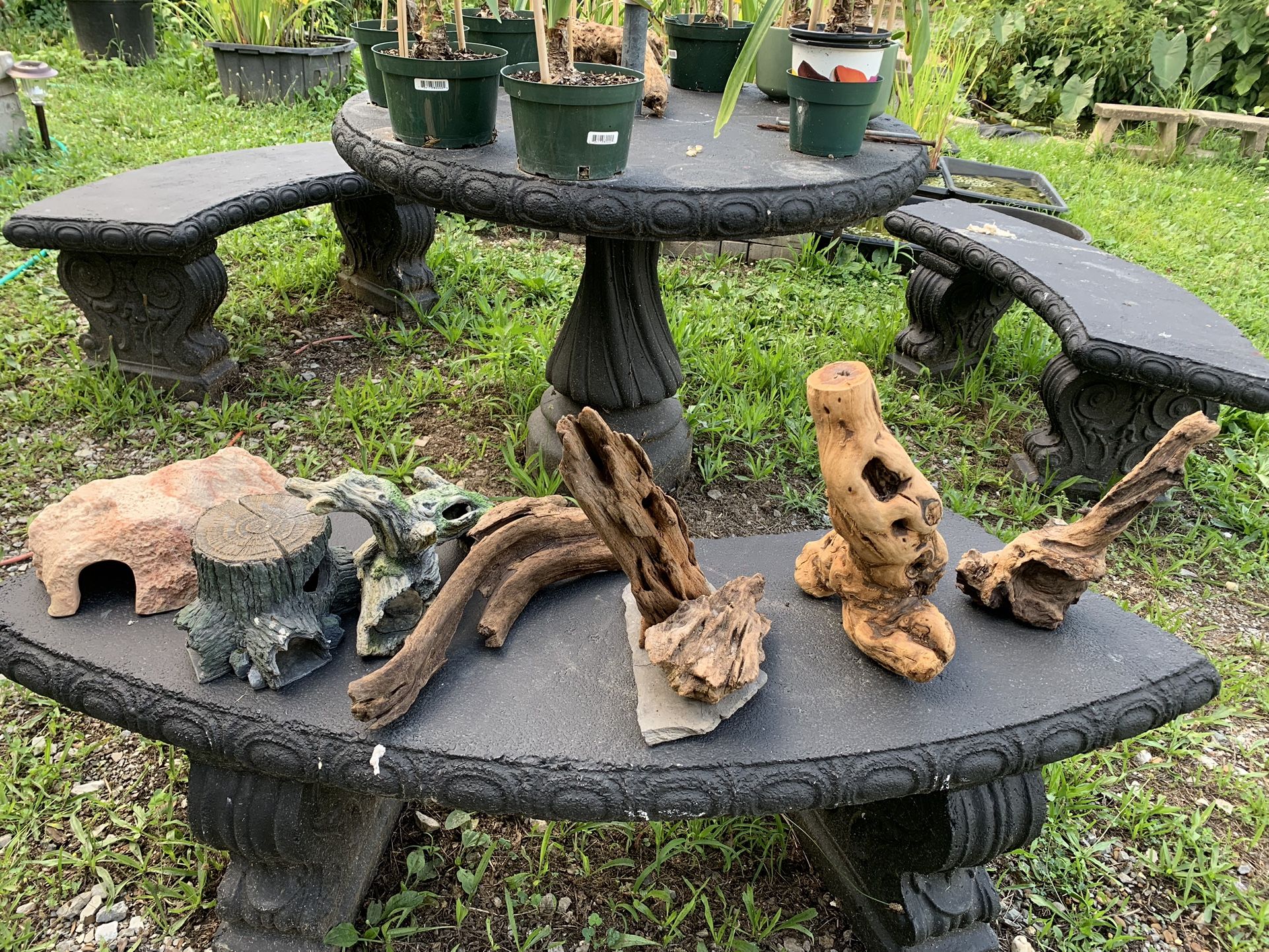 Reptile Accessories