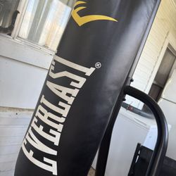 Everlast Punching Bag And Stand