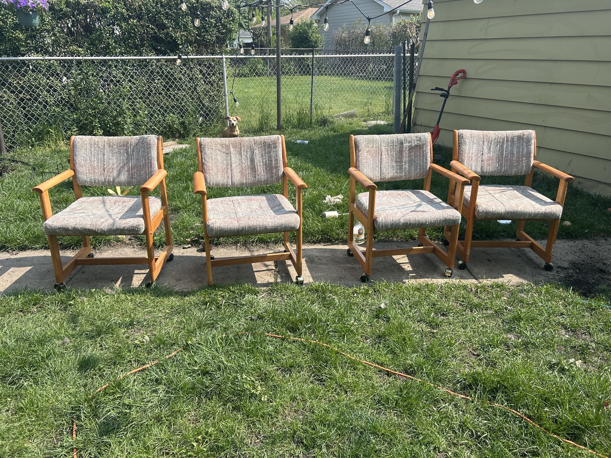 4 Rolling Chairs-excellent Condition