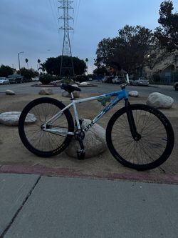Throne 29er