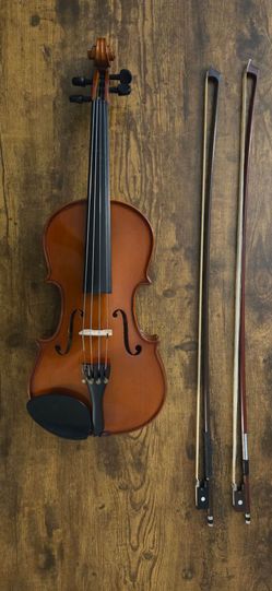 Palatino 14" Viola w/ Case