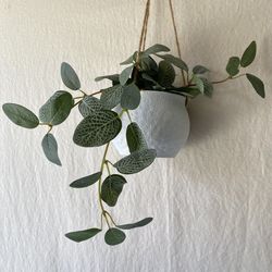 Faux Hanging Variegated Plant in Ceramic Vase