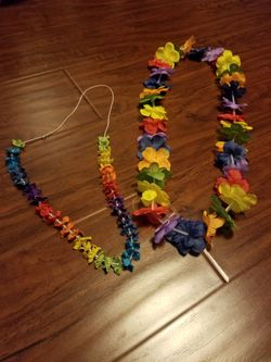 Necklace (price for both)