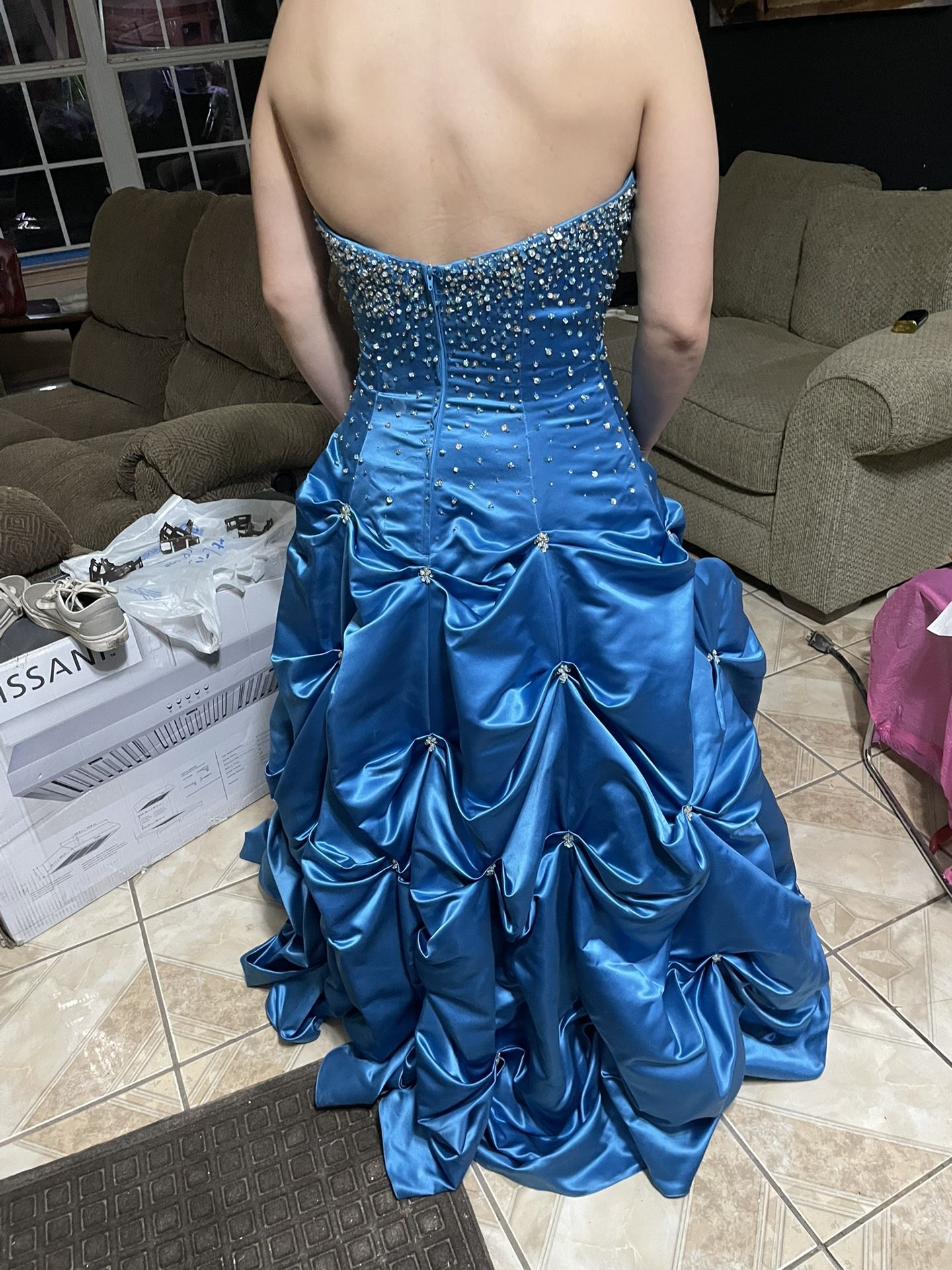 Quinceñera/ Special Event Dress