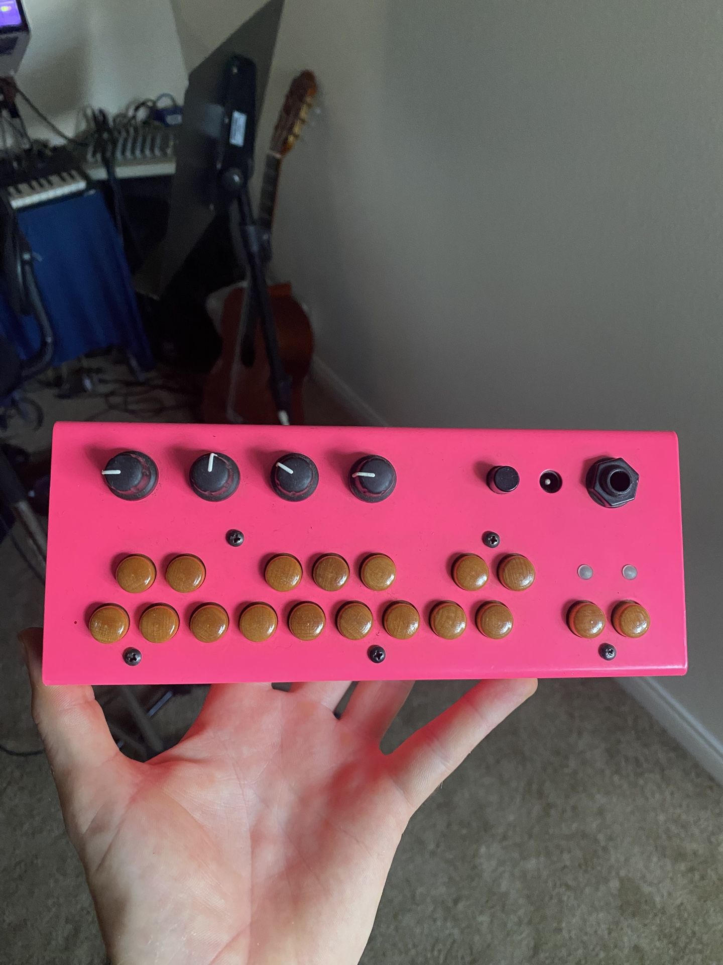 Critter & Guitari Bolsa Bass