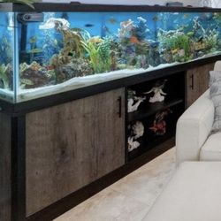 Fish Tank And Supplies