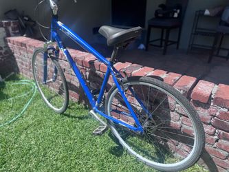 2010 Diamondback Blue, Edgewood LX
