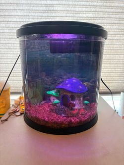 Top Fin 3.5 gal fish tank with accessories