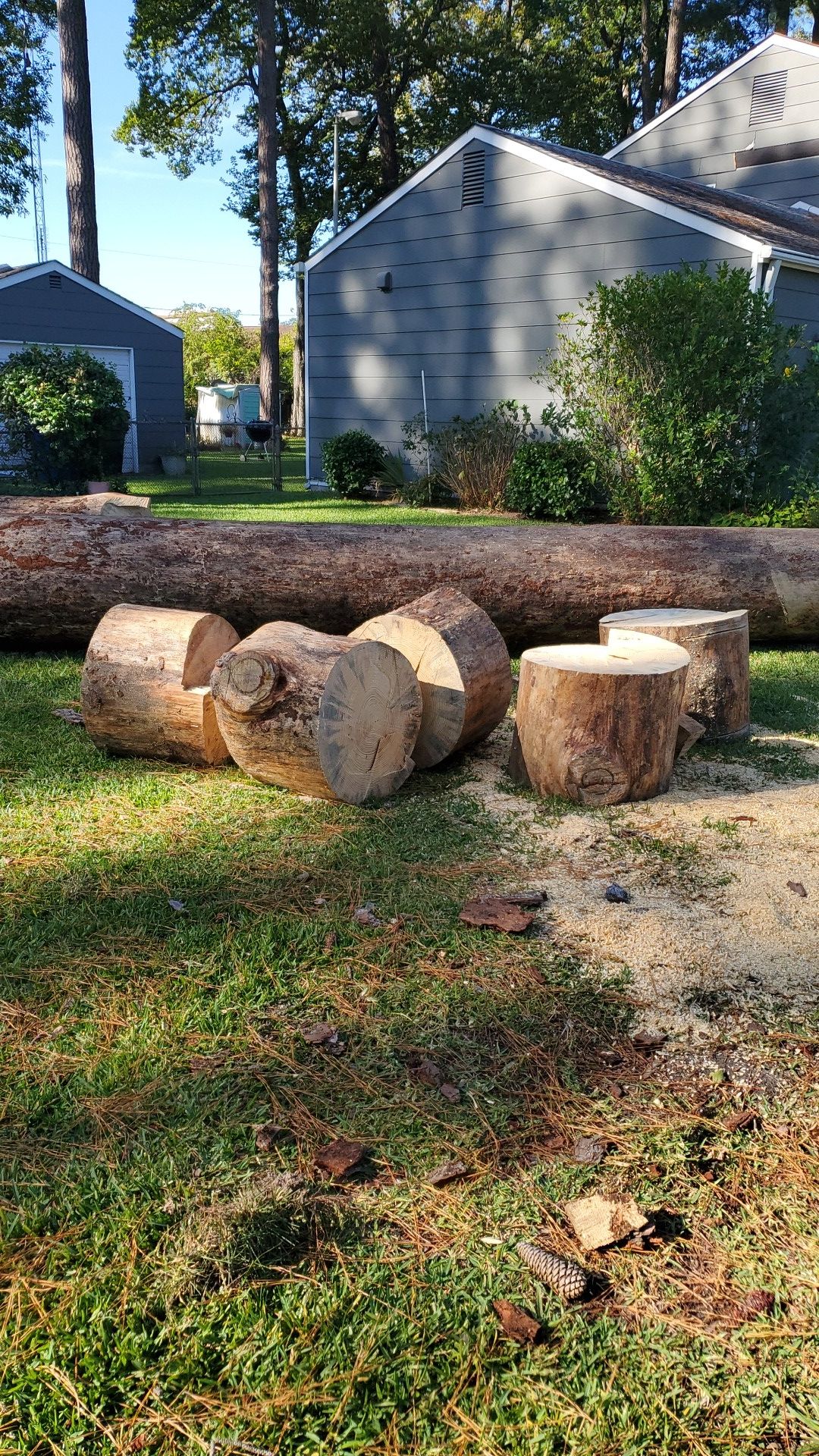 Free cut wood