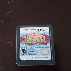 Nintendo DS Game 