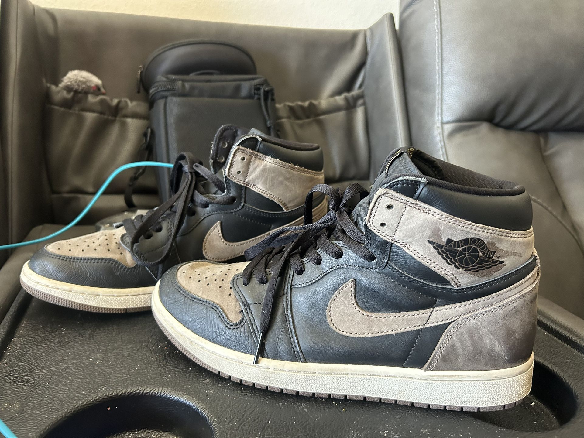 Air Jordan Retro Palomino