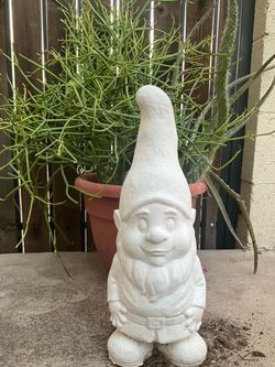 1.5ft gnome plants