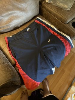 NIKE Mens Shorts Size XL