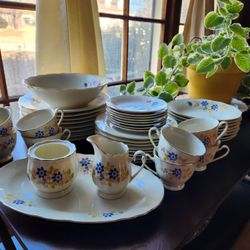 Budlet Fine China Dinnerware Set (44 Piece)