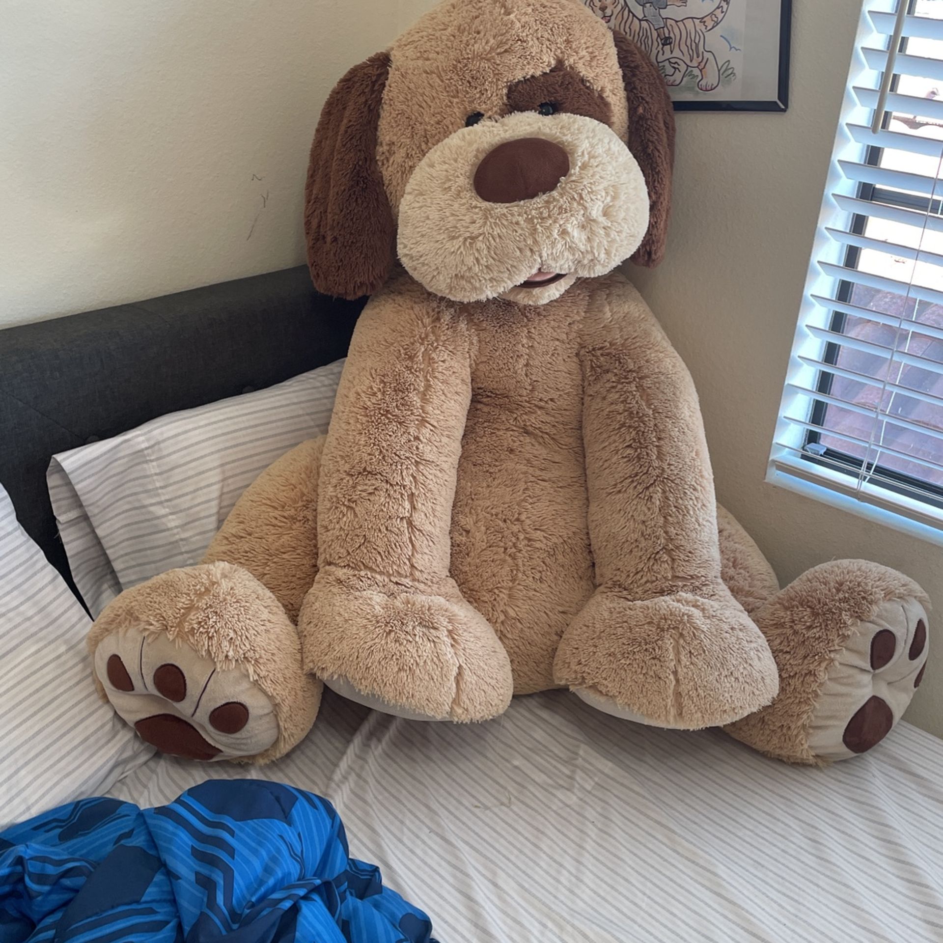 Giant teddy bear Costco
