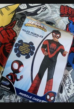 Spiderman Costume