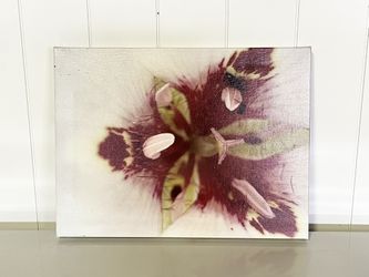 Floral Orchid Canvas Wall Art