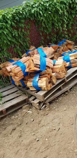 Bundles of dry-seasoned firewood (Ask about delivery)