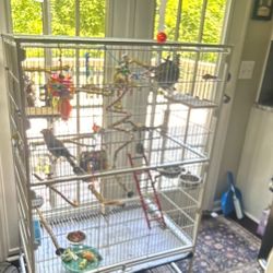 Bird Cage No Toys Just Cage 