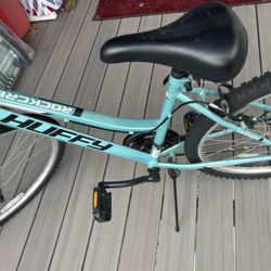 26 Inches Bike 