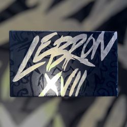 Nike LeBron 17 Size 9.5 Men’s 