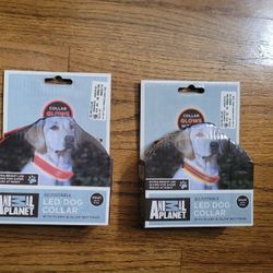 Brand New LED Light Up Dog Collars