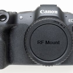 Canon EOS R8 w/many accessories