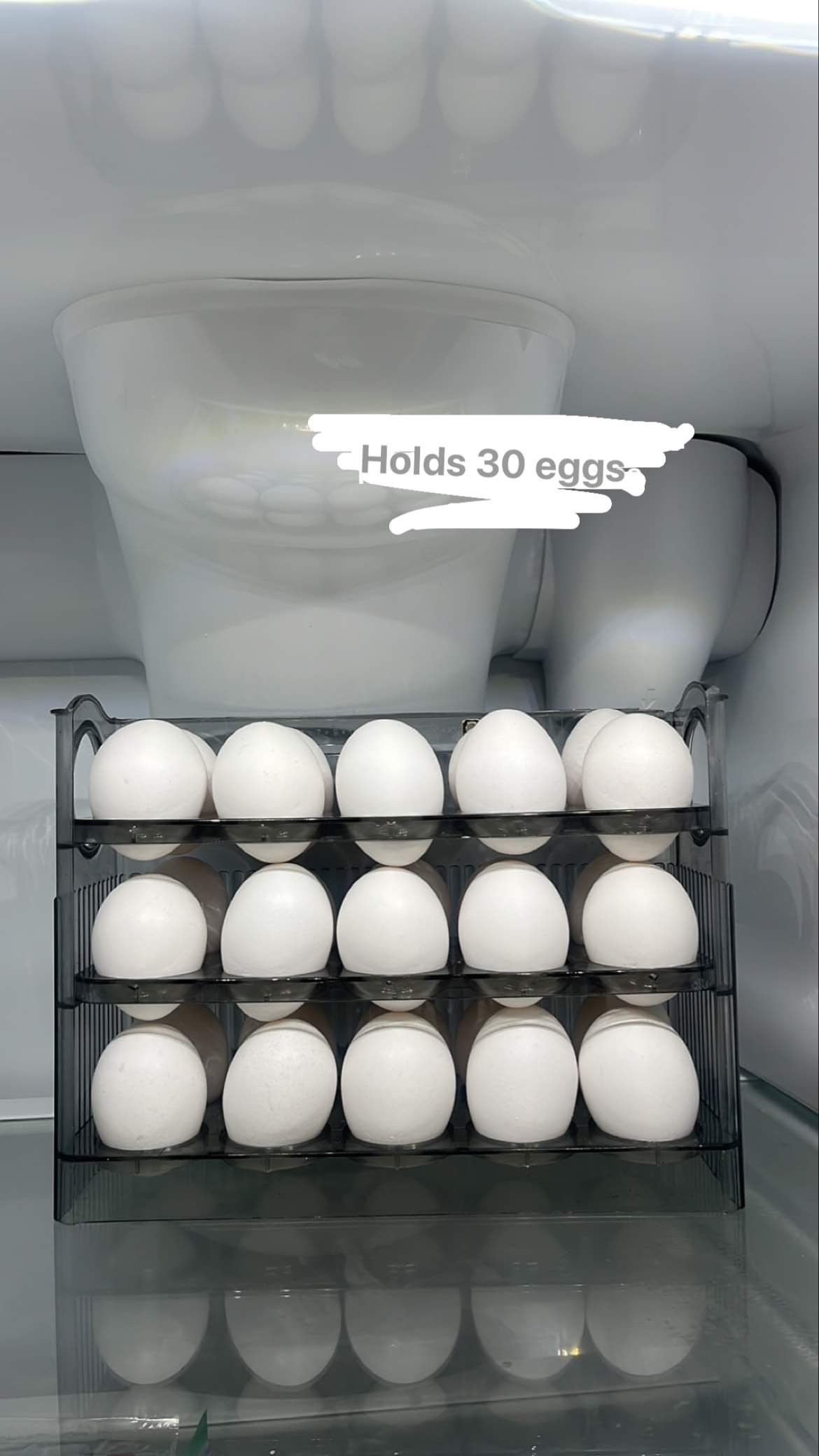 Egg Organizer/Storage Container/