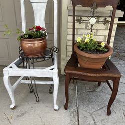 Repurposed Antique vintage oak side chair into a planter w/ clay pot & spreading  petunias 